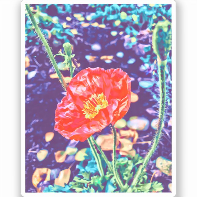 Pegatina de Vinyl de Poppies Salvajes (Anverso)
