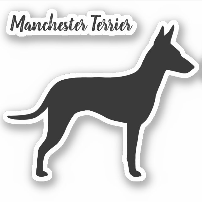 Pegatina de Vinyl Manchester Terrier Dog Silhouett (Anverso)