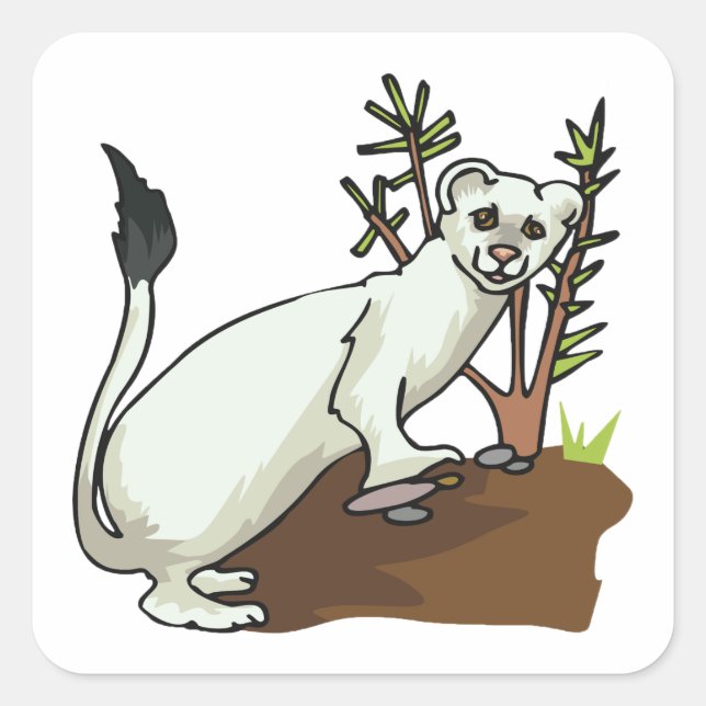 Pegatina de White Weasel Wildlife Square (Anverso)
