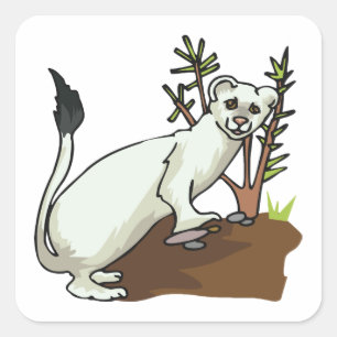 Pegatina de White Weasel Wildlife Square