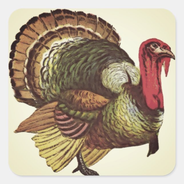 Pegatina de Wild Turkey (Anverso)