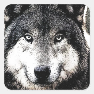 Pegatina de Wilf Wolf Artwork Square