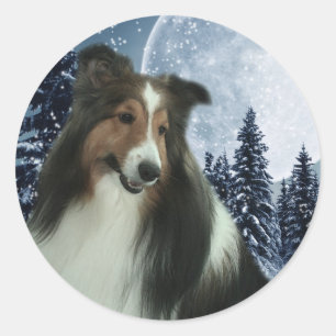 Pegatina de Winter Sheltie