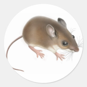 Pegatina Deer Mouse