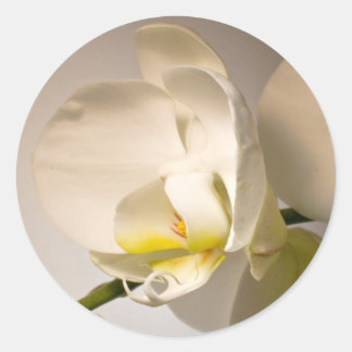 Pegatina del Boda de eventos de Sello para sobres