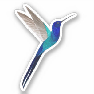 Pegatina del colibrí