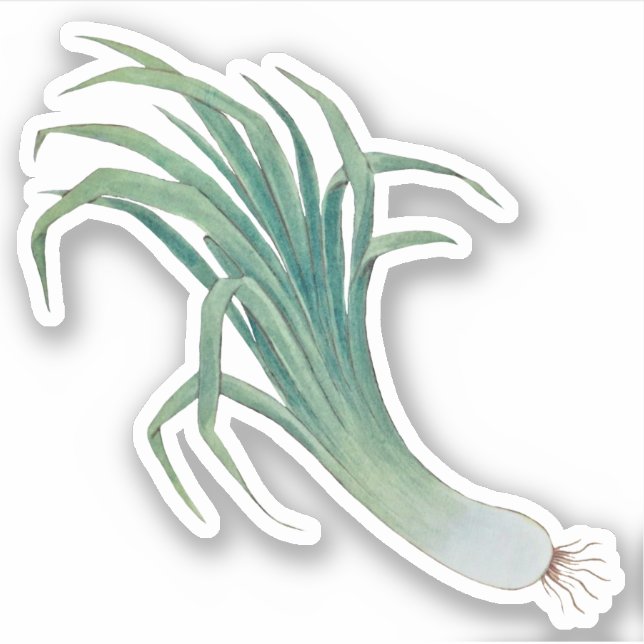 Pegatina del Concurso de la Leek de San David (fR) (Anverso)