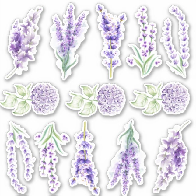 Pegatina del conjunto de lavanda e hidrangea (Anverso)