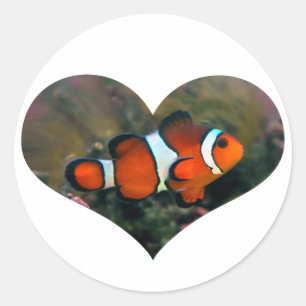 Pegatina del corazón de Clownfish