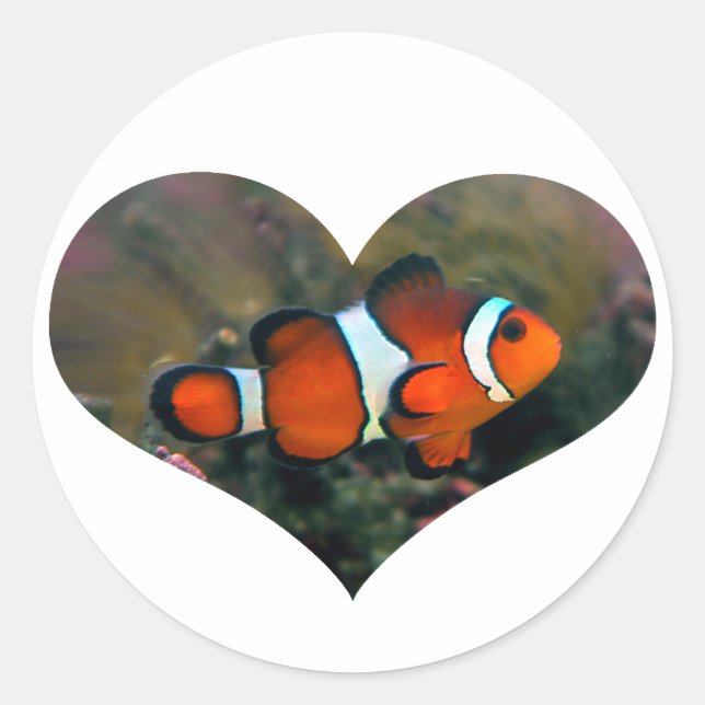 Pegatina del corazón de Clownfish (Anverso)