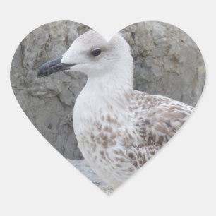 Pegatina del corazón de la gaviota del bebé