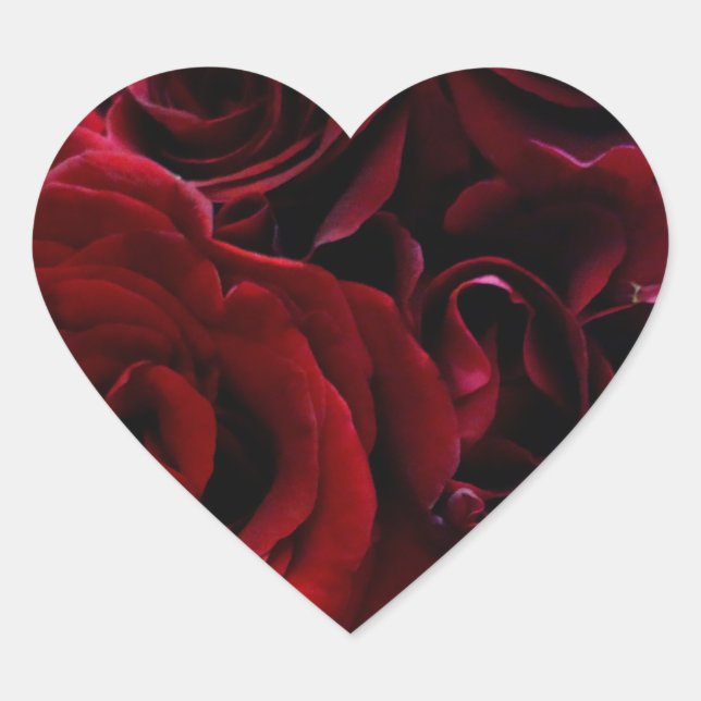 Pegatina del corazón de las rosas rojas (Anverso)