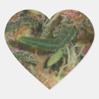 Pegatina del corazón de Weed