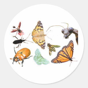 Pegatina del ~ del collage del insecto