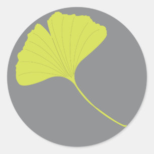 Pegatina del Ginkgo