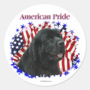 Pegatina del Orgullo de Terranova