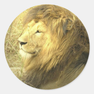 Pegatina del Orgullo León