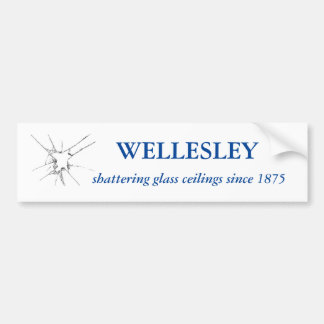 Pegatina del parachoques