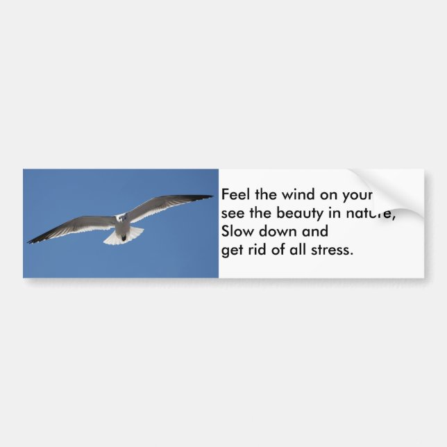 Pegatina del parachoques de poema volador de gavio (Frente)