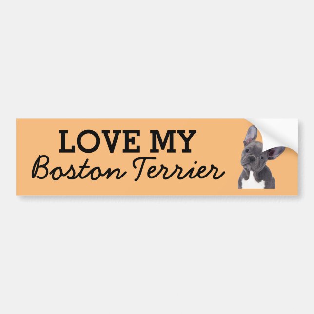 Pegatina del parachoques del Boston Terrier (Frente)