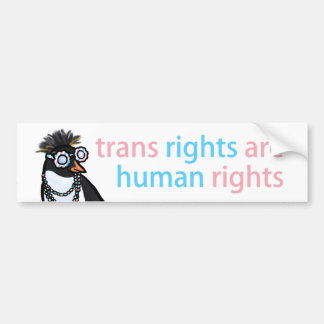 Pegatina del parachoques transexual con un pingüin