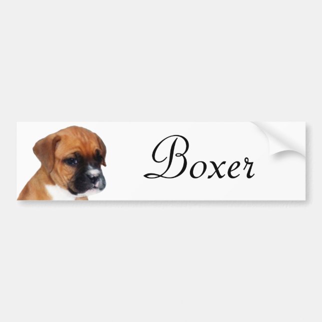 Pegatina del perrito del boxeador (Frente)
