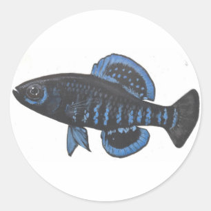 Pegatina del pez luna Okefenokee pygmy