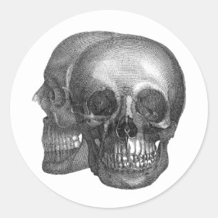 Pegatina del Sello para sobres Skulls