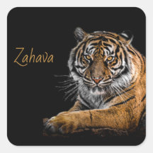 Pegatina del tigre dorado