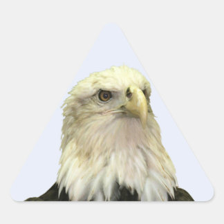 Pegatina del triángulo del águila calva
