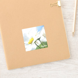 Pegatina Deseos con maricas blancas personalizadas