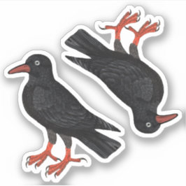 Pegatina Día de San Piran / St. Thomas Becket Choughs (fL) 