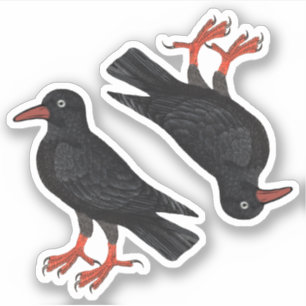 Pegatina Día de San Piran / St. Thomas Becket Choughs (fL)