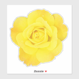 Pegatina Día Nacional de la Amistad de Rosa Amarilla Floral