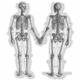 Pegatina Diagrama de Esqueletos Antiguos con Huesos Numerad