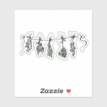 Dibujo botánico de hierbas de jardín