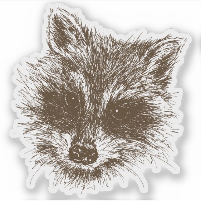 Pegatina Dibujo de Raccoon Woodland (Anverso)