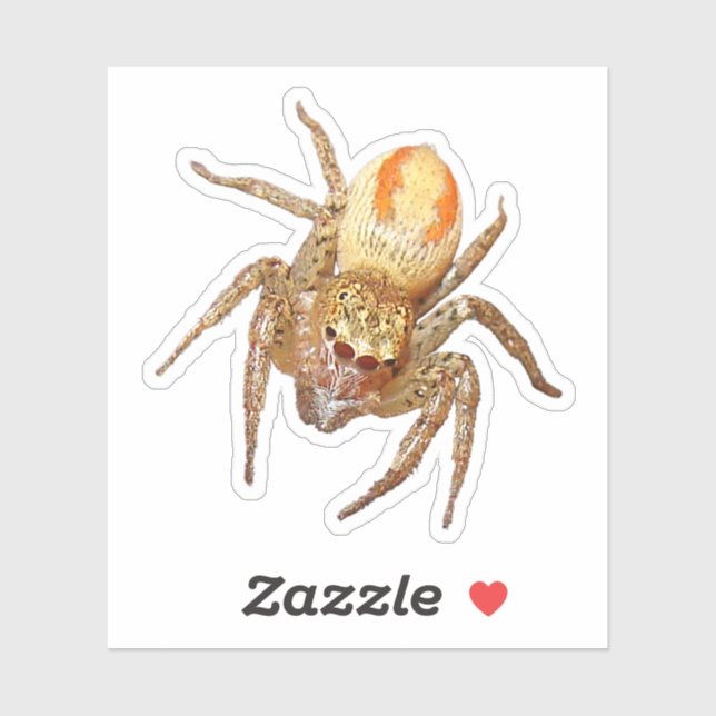 Pegatina Dimorphic Jumping Spider (Maevia inclemens) (Hoja)
