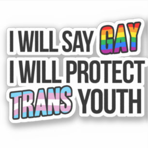 Pegatina Diré gay y protegeré a la juventud transgénero