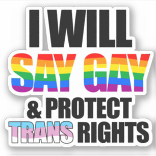 Pegatina Diré gay y protegeré los derechos trans