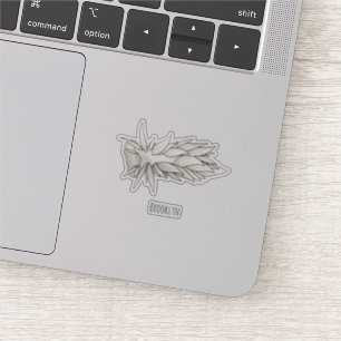 Pegatina Dirona albolineata nudibranch personalizado ilustr