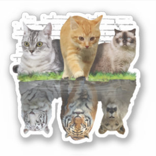 Pegatina Diseño de regalo de reflexión de gato divertido