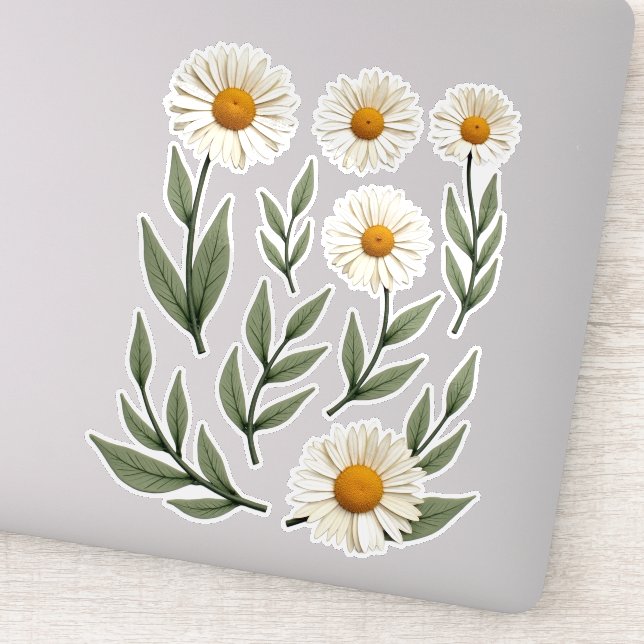 Pegatina Diseño floral de margarita blanca (Detalle)