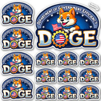 DOGE Departamento de Eficiencia Gubernamental Viny