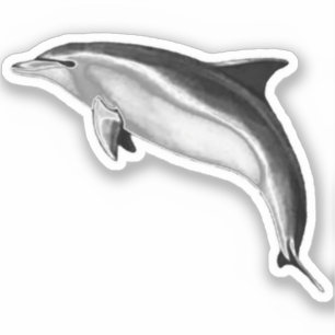 PEGATINA DOLFONÍA DE BOTTLENOSA