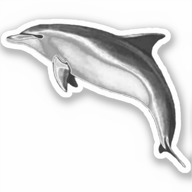 PEGATINA DOLFONÍA DE BOTTLENOSA (Anverso)