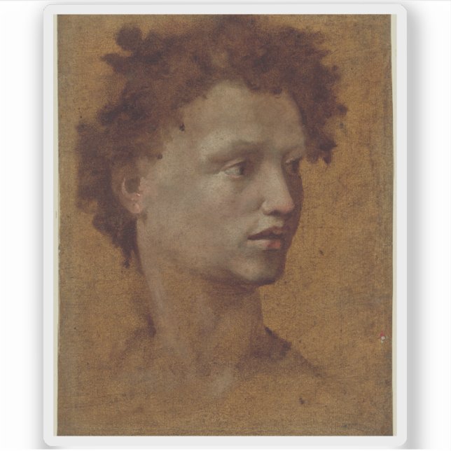 Pegatina Domenico Beccafumi - Jefe de Juventud (Anverso)