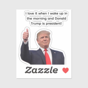 Pegatina Donald Trump 2024