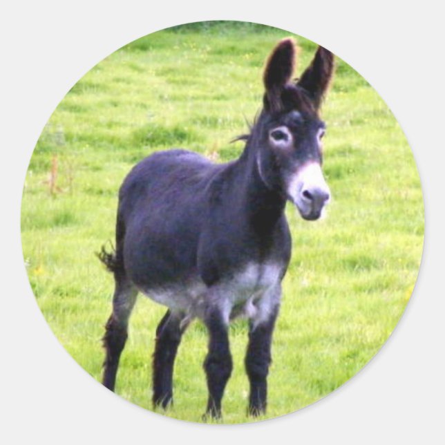 Pegatina Donkey (Anverso)