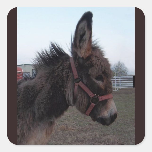 Pegatina Donkey (Anverso)